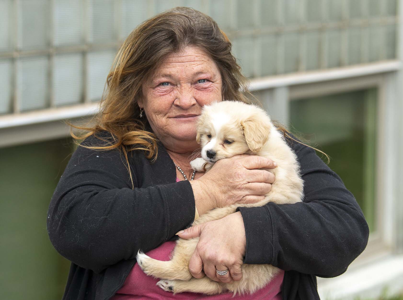 Anns story featured image